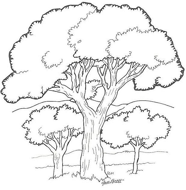Disegno Grande albero dalla chioma arrotondata in un paesaggio da colorare