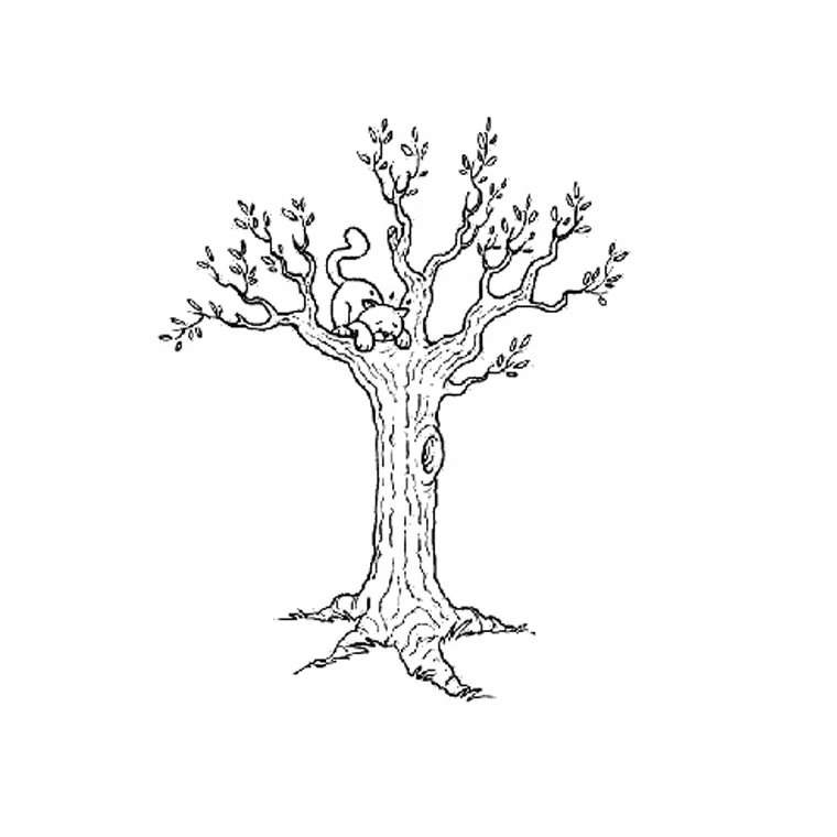 Disegno Albero con un gatto disteso su un ramo da colorare