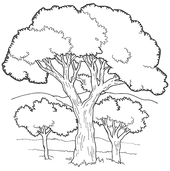 Disegno Grande albero tra due alberi più piccoli in un paesaggio da colorare
