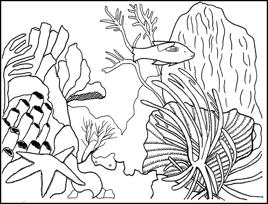 Disegno Corallo scena di barriera con pesce e stella marina da colorare Disegno Corallo scena di barriera con pesce e stella marina da colorare