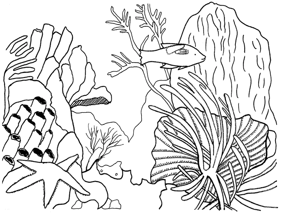 Disegno Corallo con pesce e stella marina da colorare