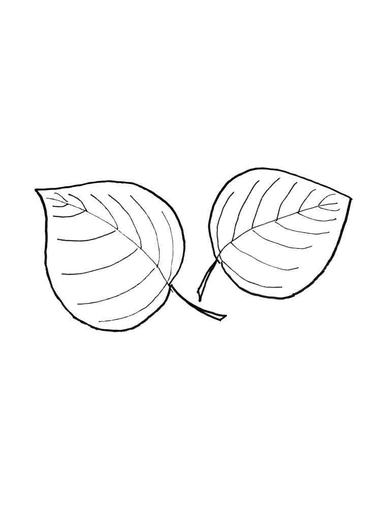 Disegno da colorare: Foglia (Natura e Stagioni) #191828 - Pagine da Colorare Stampabili Gratuite