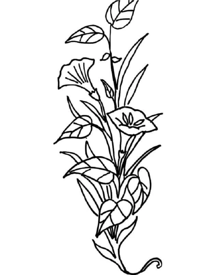 Disegno Fiori a forma di giglio su un fusto curvo da colorare