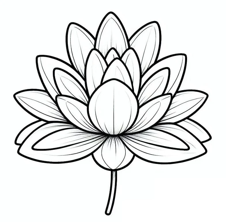 Disegno Ninfea in piena fioritura da colorare