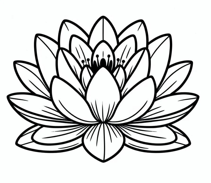Disegno Ninfea in piena fioritura da colorare