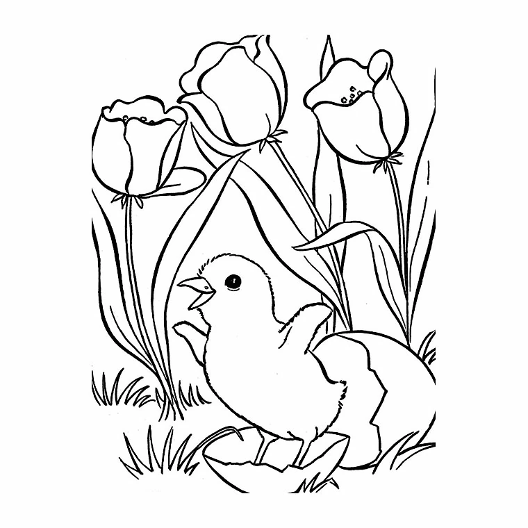 Disegno Pulcino che esce dal guscio tra i tulipani da colorare