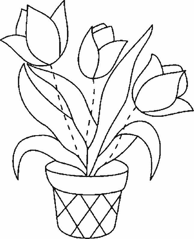 Disegno Tulipani in un vaso da colorare