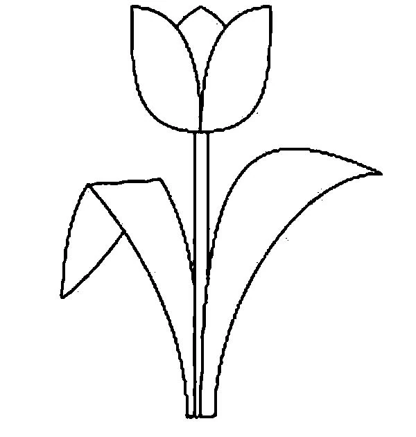 Disegno Tulipano semplice con lungo stelo da colorare Disegno Tulipano semplice con lungo stelo da colorare