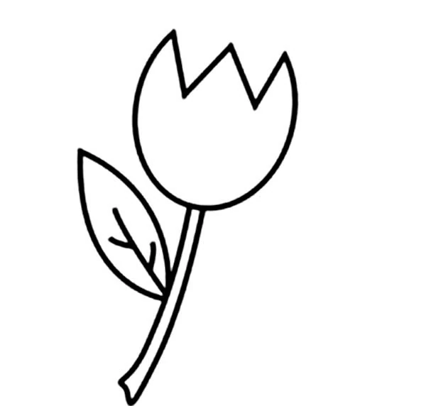 Disegno Tulipano con una sola foglia da colorare
