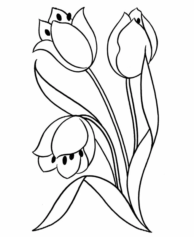 Disegno Tulipano trio con steli lunghi e foglie da colorare Disegno Tulipano trio con steli lunghi e foglie da colorare