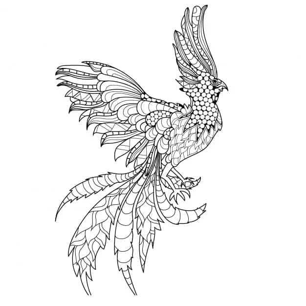 Disegno Fenice con piume dettagliate in volo da colorare Disegno Fenice con piume dettagliate in volo da colorare