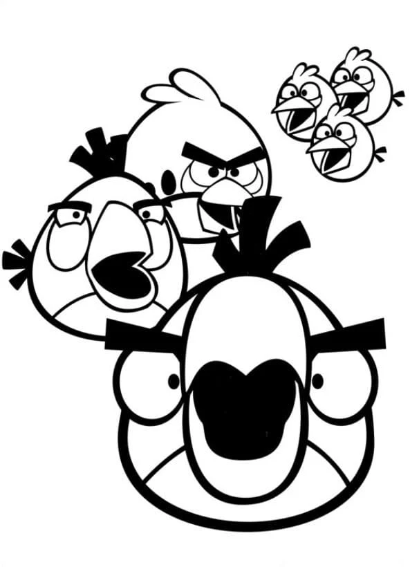 Disegno Angry Birds riuniti da colorare Disegno Angry Birds riuniti da colorare