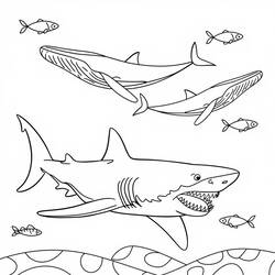 Disegno da colorare: Megalodon (Animali Preistorici) #220717 - Pagine da Colorare Stampabili Gratuite