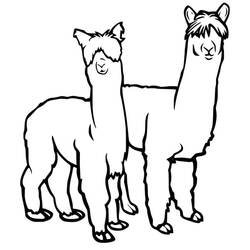 Disegno da colorare: Alpaca (Animali) #217310 - Pagine da Colorare Stampabili Gratuite
