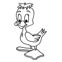 Disegno da colorare: Anatra (Animali) #1444 - Pagine da Colorare Stampabili Gratuite