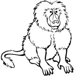 Disegni da colorare: Babbuino - Pagine da Colorare Stampabili Gratuite