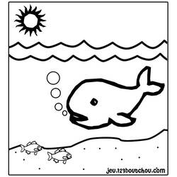 Disegno da colorare: Balena (Animali) #867 - Pagine da Colorare Stampabili Gratuite