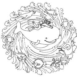 Disegno da colorare: Balena (Animali) #931 - Pagine da Colorare Stampabili Gratuite