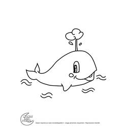 Disegno da colorare: Balena (Animali) #939 - Pagine da Colorare Stampabili Gratuite