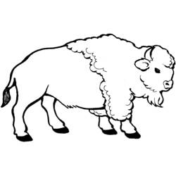 Disegno da colorare: Bisonte (Animali) #1195 - Pagine da Colorare Stampabili Gratuite