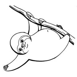 Disegno da colorare: Bradipo (Animali) #210438 - Pagine da Colorare Stampabili Gratuite