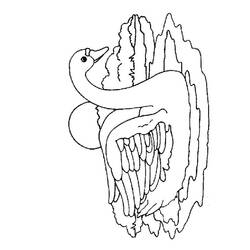 Disegno da colorare: Cigno (Animali) #5045 - Pagine da Colorare Stampabili Gratuite