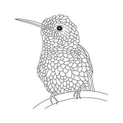 Disegno da colorare: Colibrì (Animali) #208576 - Pagine da Colorare Stampabili Gratuite