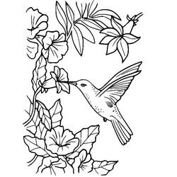 Disegno da colorare: Colibrì (Animali) #208585 - Pagine da Colorare Stampabili Gratuite