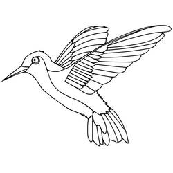 Disegno da colorare: Colibrì (Animali) #208600 - Pagine da Colorare Stampabili Gratuite