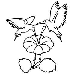 Disegno da colorare: Colibrì (Animali) #208610 - Pagine da Colorare Stampabili Gratuite