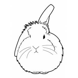 Disegno da colorare: Coniglio (Animali) #9641 - Pagine da Colorare Stampabili Gratuite