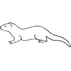 Disegno da colorare: Donnola (Animali) #205439 - Pagine da Colorare Stampabili Gratuite