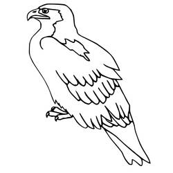 Disegno da colorare: Falco (Animali) #205256 - Pagine da Colorare Stampabili Gratuite