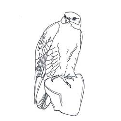 Disegno da colorare: Falco (Animali) #205266 - Pagine da Colorare Stampabili Gratuite