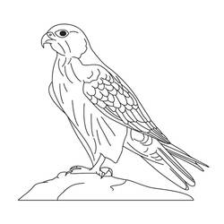 Disegno da colorare: Falco (Animali) #205271 - Pagine da Colorare Stampabili Gratuite