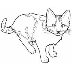 Disegno da colorare: Gatto (Animali) #1781 - Pagine da Colorare Stampabili Gratuite