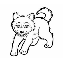 Disegno da colorare: Husky (Animali) #189114 - Pagine da Colorare Stampabili Gratuite