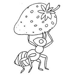 Disegno da colorare: Insetto (Animali) #179749 - Pagine da Colorare Stampabili Gratuite