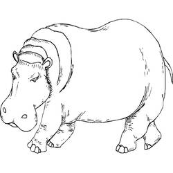 Disegno da colorare: Ippopotamo (Animali) #8665 - Pagine da Colorare Stampabili Gratuite