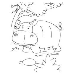 Disegno da colorare: Ippopotamo (Animali) #8738 - Pagine da Colorare Stampabili Gratuite