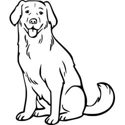Disegno da colorare: Labrador (Animali) #220737 - Pagine da Colorare Stampabili Gratuite