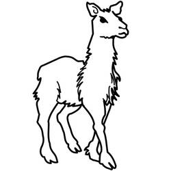 Disegno da colorare: Lama (Animali) #179545 - Pagine da Colorare Stampabili Gratuite