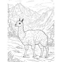 Disegno da colorare: Lama (Animali) #217820 - Pagine da Colorare Stampabili Gratuite