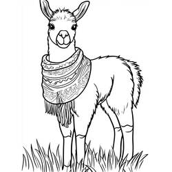 Disegno da colorare: Lama (Animali) #217823 - Pagine da Colorare Stampabili Gratuite
