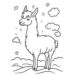 Disegno da colorare: Lama (Animali) #217826 - Pagine da Colorare Stampabili Gratuite