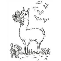Disegno da colorare: Lama (Animali) #217831 - Pagine da Colorare Stampabili Gratuite