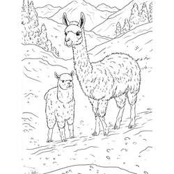 Disegno da colorare: Lama (Animali) #217834 - Pagine da Colorare Stampabili Gratuite
