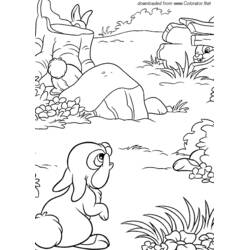 Disegno da colorare: Lepre (Animali) #10133 - Pagine da Colorare Stampabili Gratuite