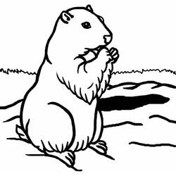 Disegni da colorare: Marmotta - Pagine da Colorare Stampabili Gratuite