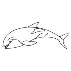 Disegno da colorare: Orca (Animali) #213452 - Pagine da Colorare Stampabili Gratuite